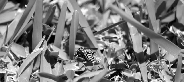 stainless steel scrap